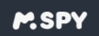 mSpy US