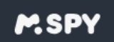 Sitewide 20% OFF on mSpy US Offer!